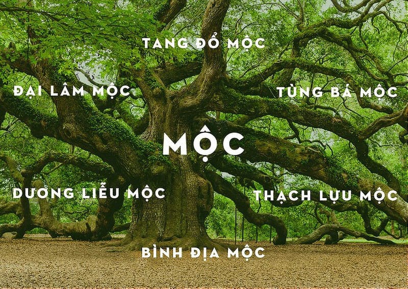 Hệ thống màu sắc theo phong thủy ngũ hành, phân tích màu đen hợp mệnh gì