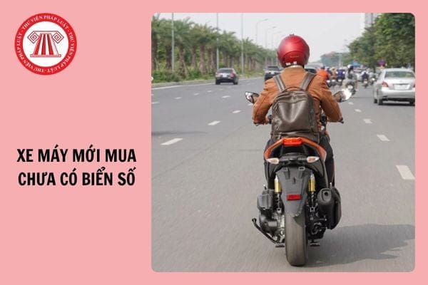 Hình ảnh cảnh sát giao thông kiểm tra xe máy chưa gắn biển số và giấy tờ đăng ký, giải đáp thắc mắc xe chưa có biển số phạt bao nhiêu theo quy định mới 2025.