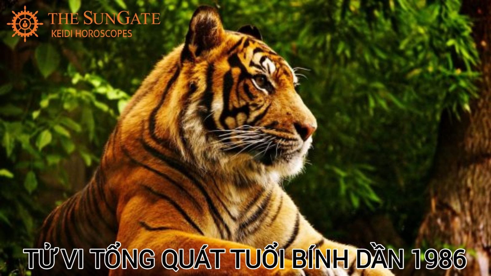 Hình ảnh con hổ mạnh mẽ, tĩnh lặng giữa thiên nhiên, tượng trưng cho bản lĩnh tuổi Bính Dần 1986 kiên cường vượt qua khó khăn để đạt giàu có.
