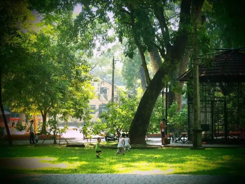 Hình ảnh không gian xanh mát với cây cối và hồ nước tại vườn thú Hà Nội