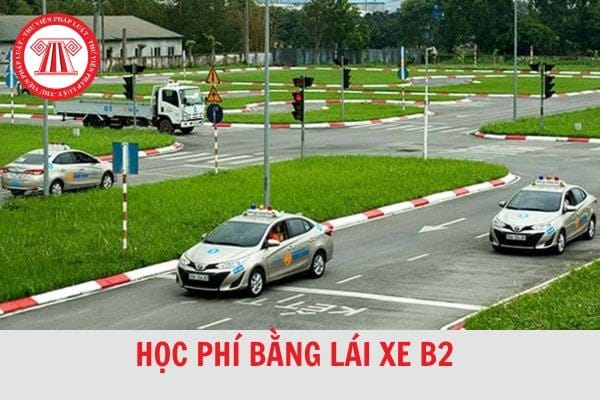 Hình ảnh minh họa giấy phép lái xe B2 và các loại xe được phép điều khiển.