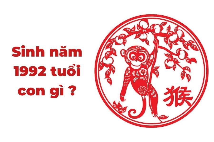 Hình ảnh người tuổi Khỉ sinh năm 1992 theo Thiên Can Địa Chi