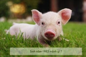 Hình ảnh tượng trưng cho mệnh Đại Hải Thủy của người sinh năm 1983