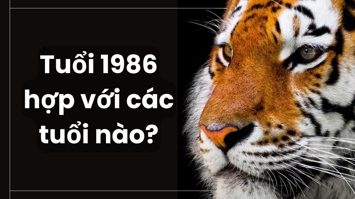 Hướng hợp kỵ cho vận mệnh người sinh năm 1986