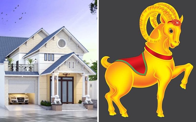 Hướng nhà tốt và xấu cho gia chủ Tân Mùi 1991