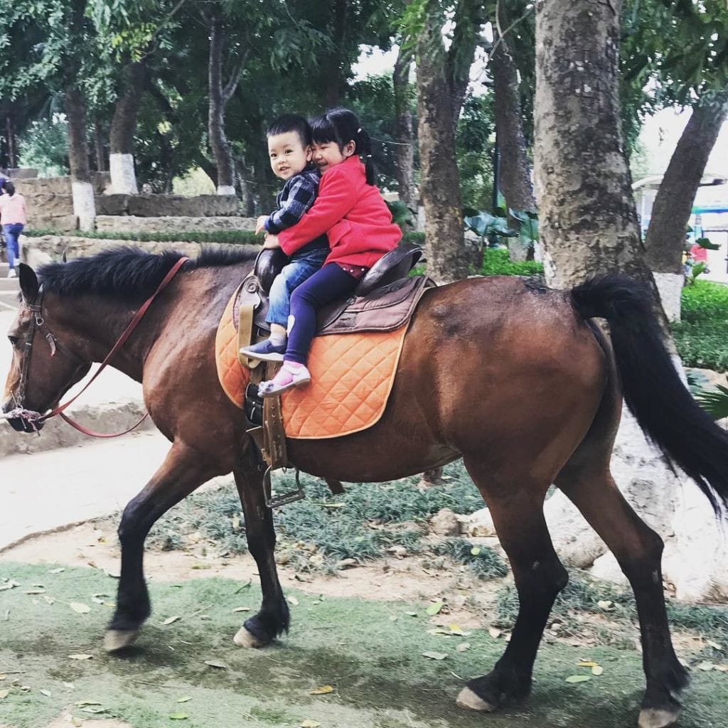 Khu vực vui chơi giải trí dưới nước tại công viên Thủ Lệ, thu hút du khách trong giờ mở cửa công viên Thủ Lệ