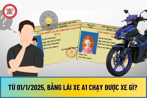 Kiểm tra phạm vi điều khiển của bằng A1
