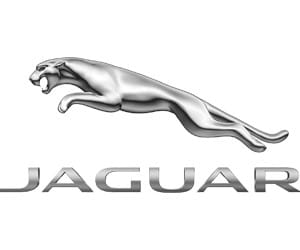 Logo Jaguar - Biểu tượng báo đen mạnh mẽ
