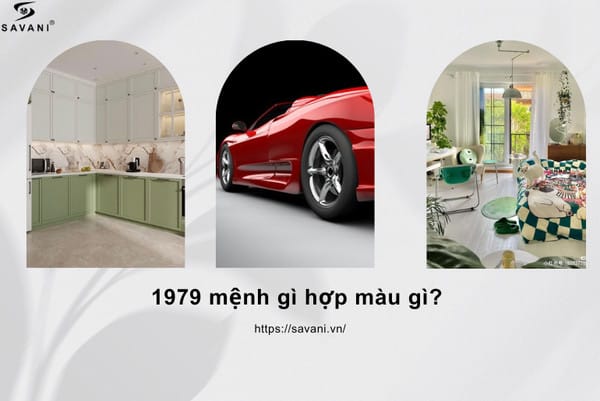 Lựa chọn xe cộ màu đỏ hoặc xanh lá cây cho người sinh năm 1979