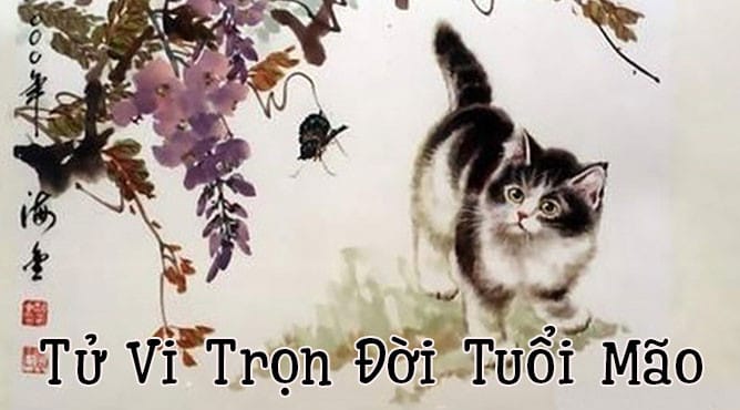 Luận giải tử vi trọn đời người tuổi Đinh Mão qua các giai đoạn