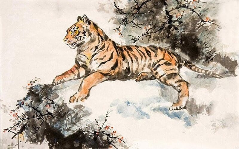 Mậu Dần 1998 hợp màu gì: Bảng màu tương sinh tương hợp