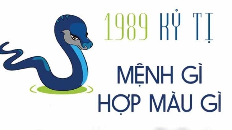 mau sac hop nguoi sinh nam 1989