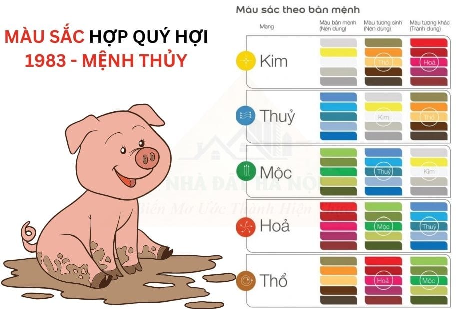 Màu sắc hợp và kỵ cho tử vi quý hợi 1983 khi chọn xe