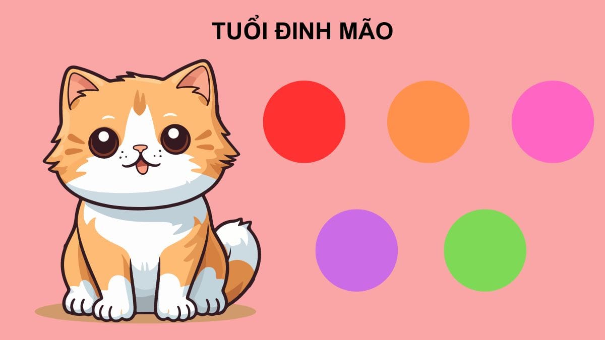 Màu sắc hợp và kỵ với người sinh năm 1987