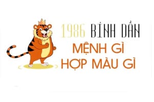 Màu sắc phong thủy hợp với tuổi Dần 1986 mệnh gì