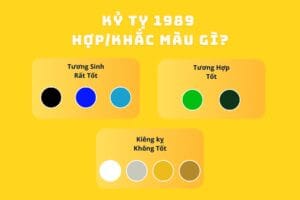 màu sắc tương hợp và tương khắc đối với người sinh năm 1989 mệnh Mộc