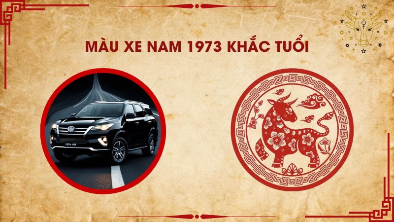 Màu xe nam 1973 khắc tuổi