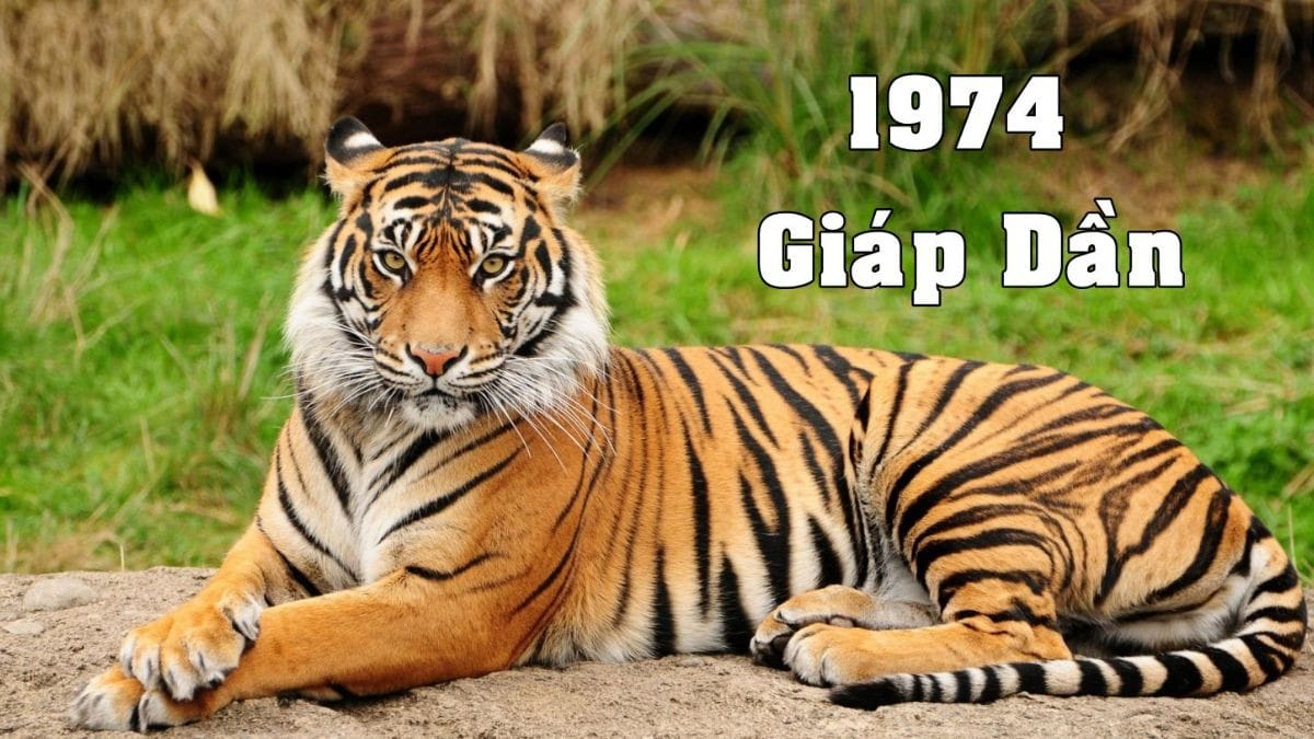 Mệnh Đại Khe Thủy năm 1974