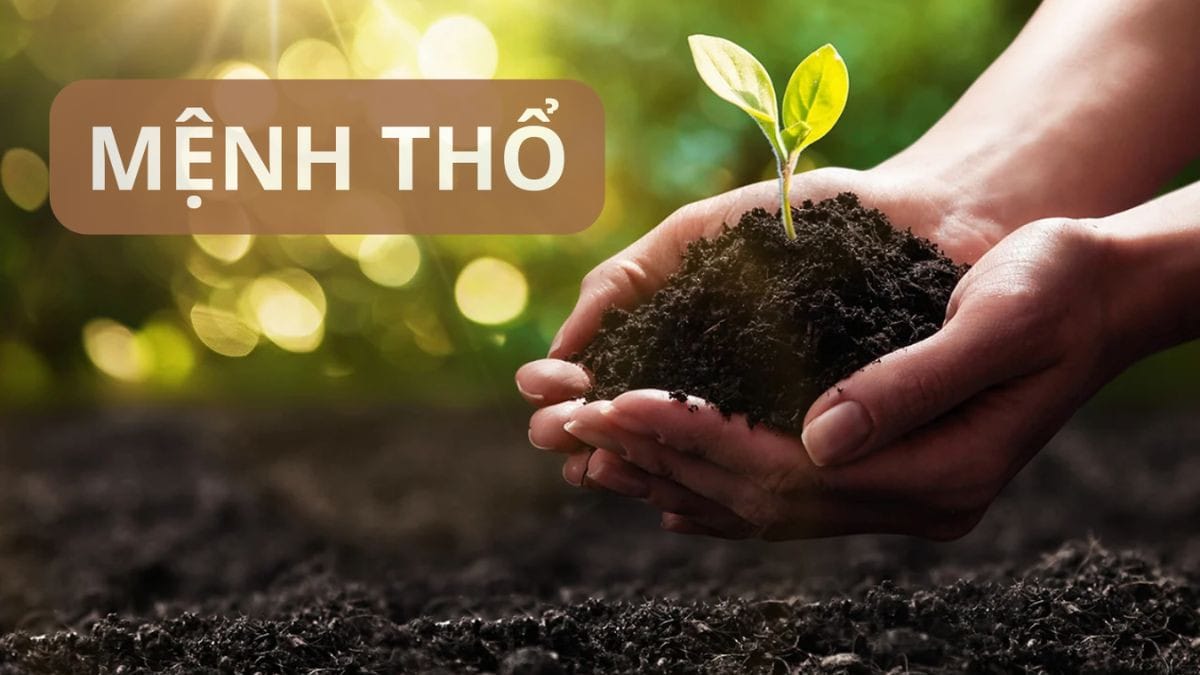 Mệnh Thành Đầu Thổ của người sinh năm 1998 được biểu thị bằng vật chất tự nhiên