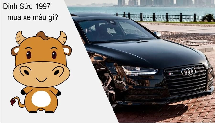 Mỗi tuổi thuộc cung mệnh khác nhau sẽ hợp với một màu xe khác nhau