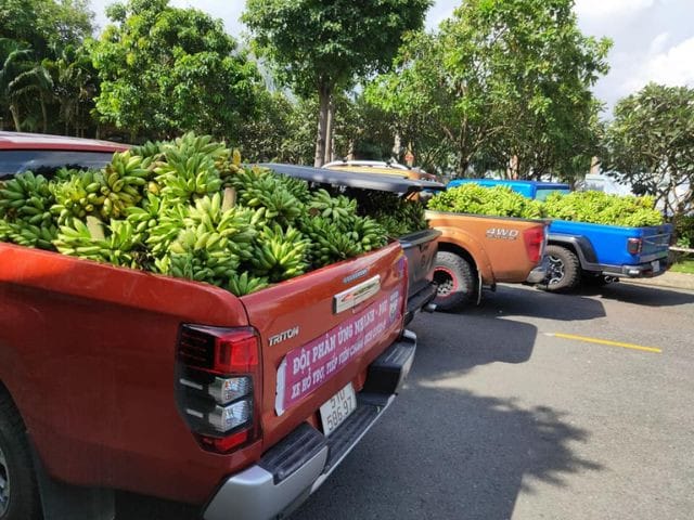 Một chiếc xe bán tải đang di chuyển trên địa hình khó khăn