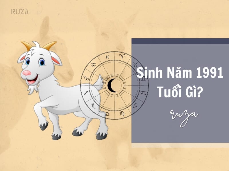 Một con dê hiền lành đại diện cho tuổi Mùi trong lịch âm