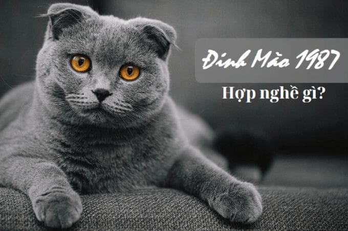 Một nhóm người đang làm việc trong một văn phòng hiện đại