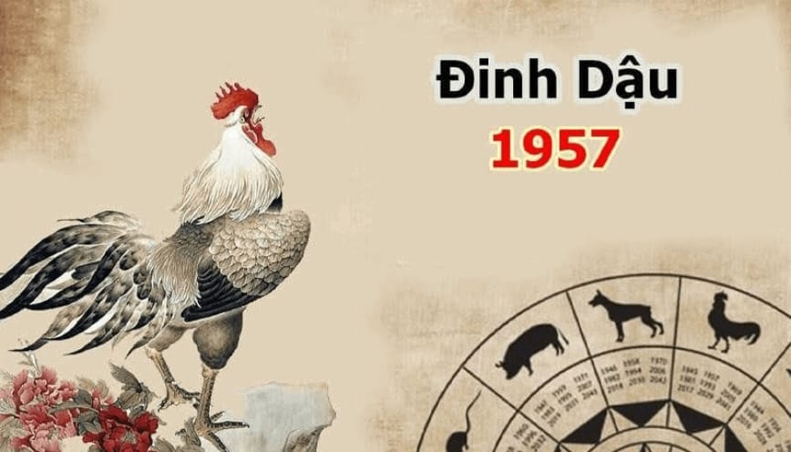 Một số câu hỏi thường gặp về tuổi 1957