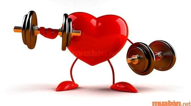 Muốn làm phụ xe tải bạn phải có một sức khỏe tốt