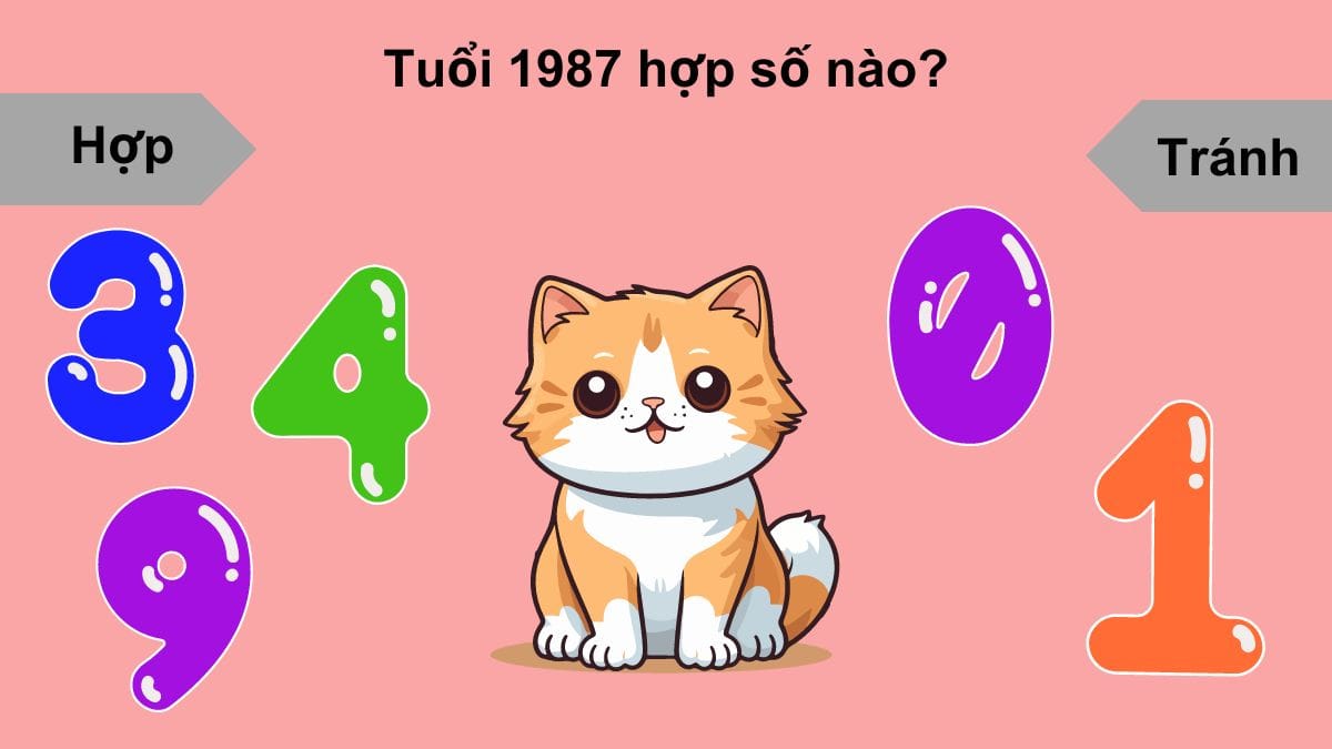Nam 1987 cung gì hợp con số 3, 4, 9