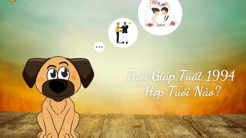 Nam Giáp Tuất 1994 hợp với người tuổi Bính Tý, Ất Hợi, Tân Tỵ, Mậu Dần