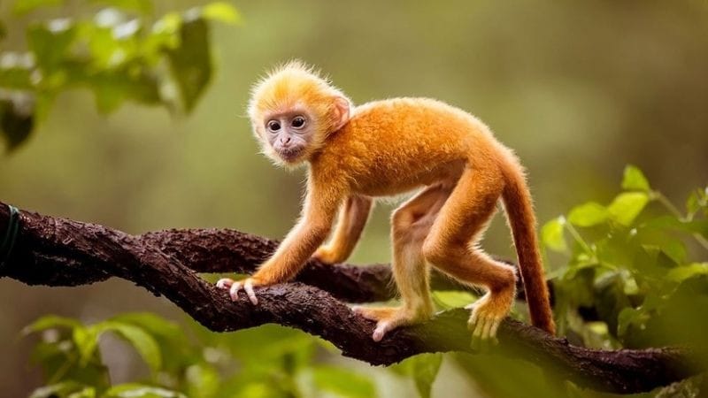 Nam giới sinh 1992 tuổi con gì có ý chí kiên cường