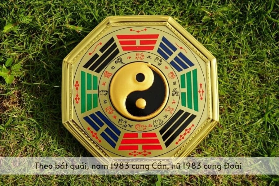 Nam Quý Hợi 1983 cung Cấn, nữ Quý Hợi 1983 cung Đoài theo Bát Quái