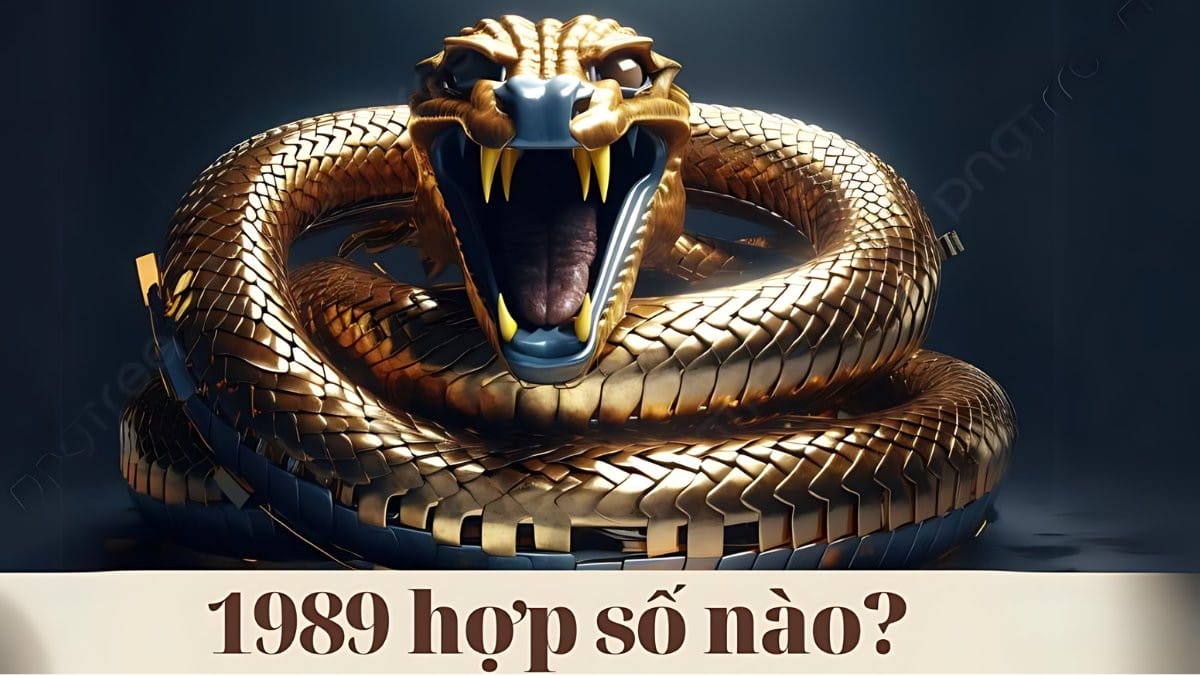 Nam sinh năm 1989 hợp số nào