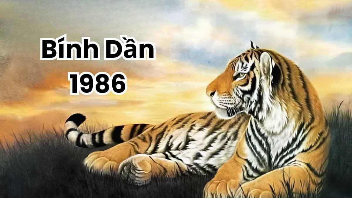 Nam tuổi Dần 1986 mạnh mẽ và quyết đoán khi chọn xe