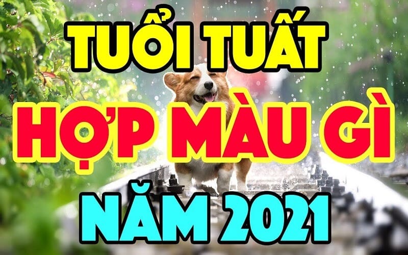 Ngũ hành tương sinh tương khắc, yếu tố quyết định màu sắc may mắn cho người tuổi Tuất