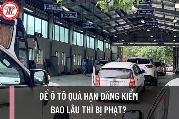 Người điều khiển xe ô tô kiểm tra tem đăng kiểm đã hết hạn, nhấn mạnh hậu quả của việc quá hạn đăng kiểm.