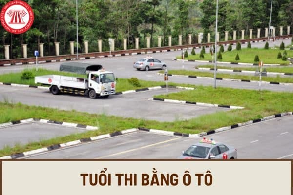 Người lái xe chuẩn bị thi bằng lái ô tô