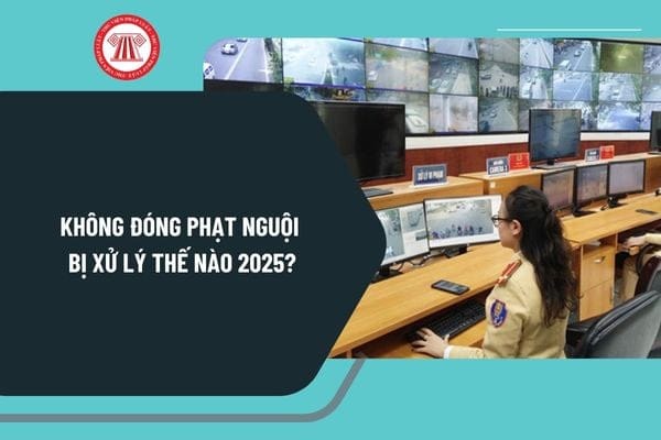 Người lái xe ô tô đang kiểm tra thông báo phạt nguội trên điện thoại, nhấn mạnh hậu quả không nộp phạt.