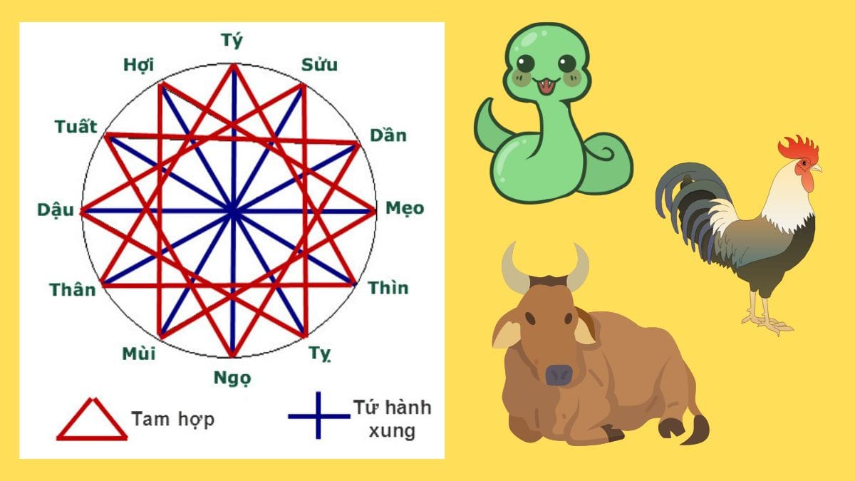 Người nam sinh năm 1985 hợp với tuổi Tỵ, Dậu, Sửu