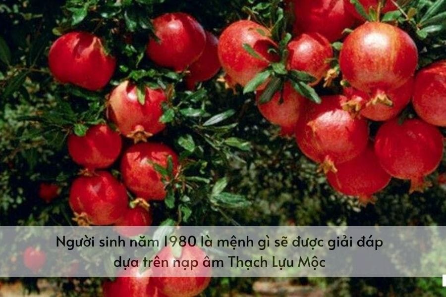 Người sinh năm 1980 mệnh gì và ý nghĩa nạp âm Thạch Lựu Mộc