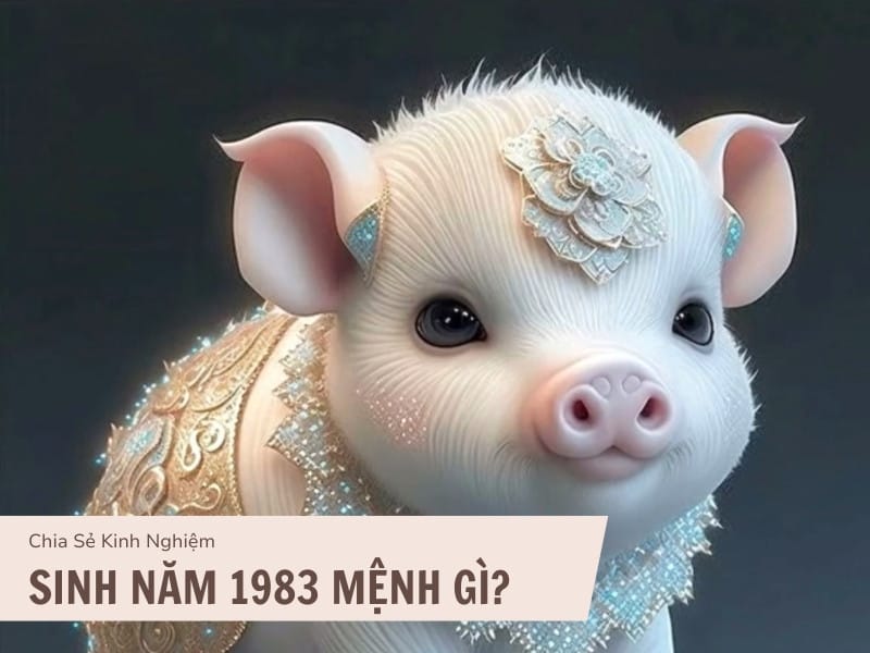 Người sinh năm 1983 hợp tuổi gì qua hình ảnh tổng quan