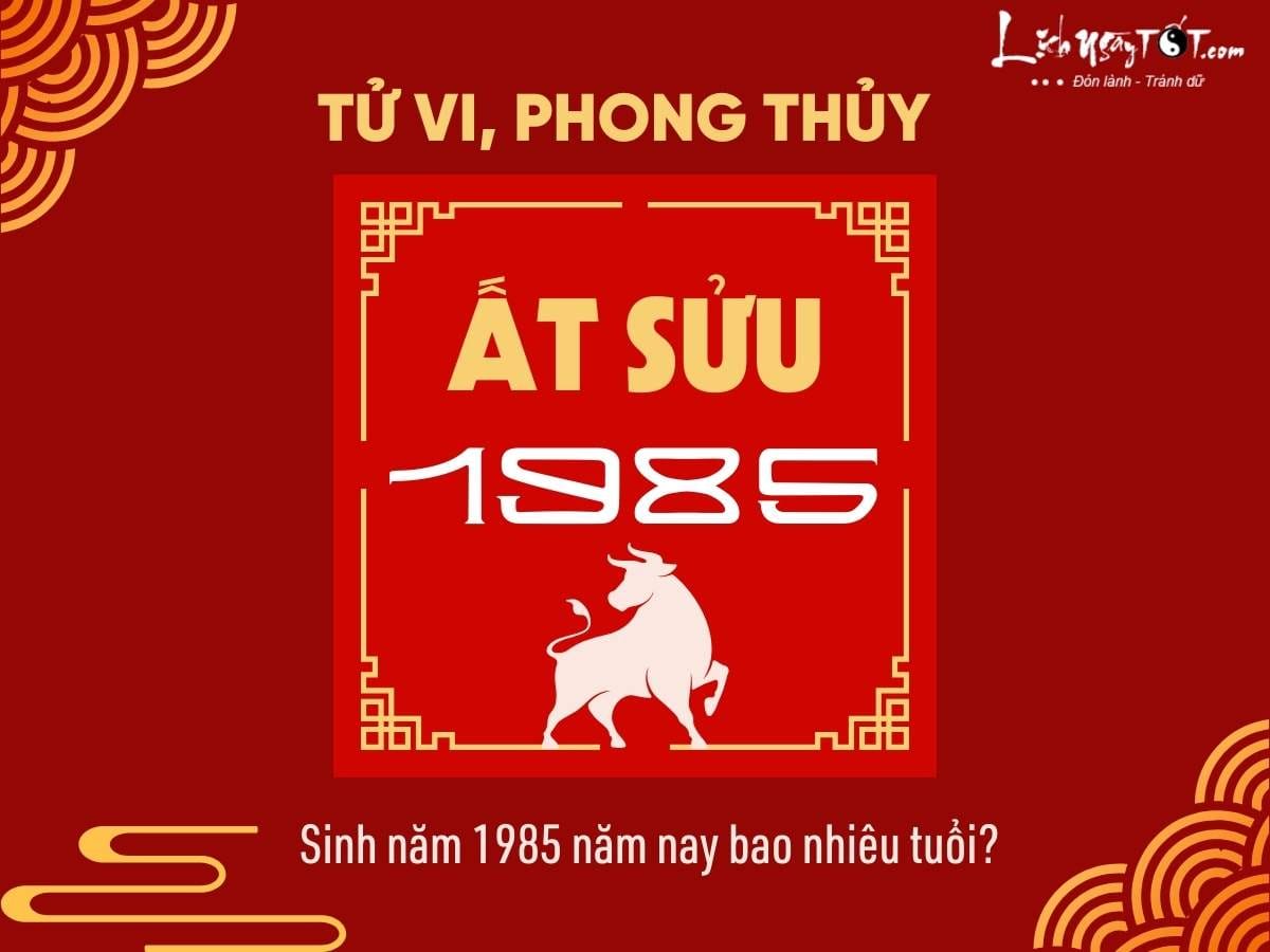 Người sinh năm 1985 và tuổi tác hiện tại