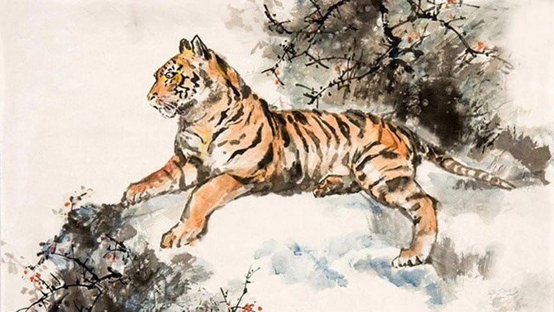 Người sinh năm 1986 Bính Dần thuộc mệnh Hỏa và những đặc điểm phong thủy