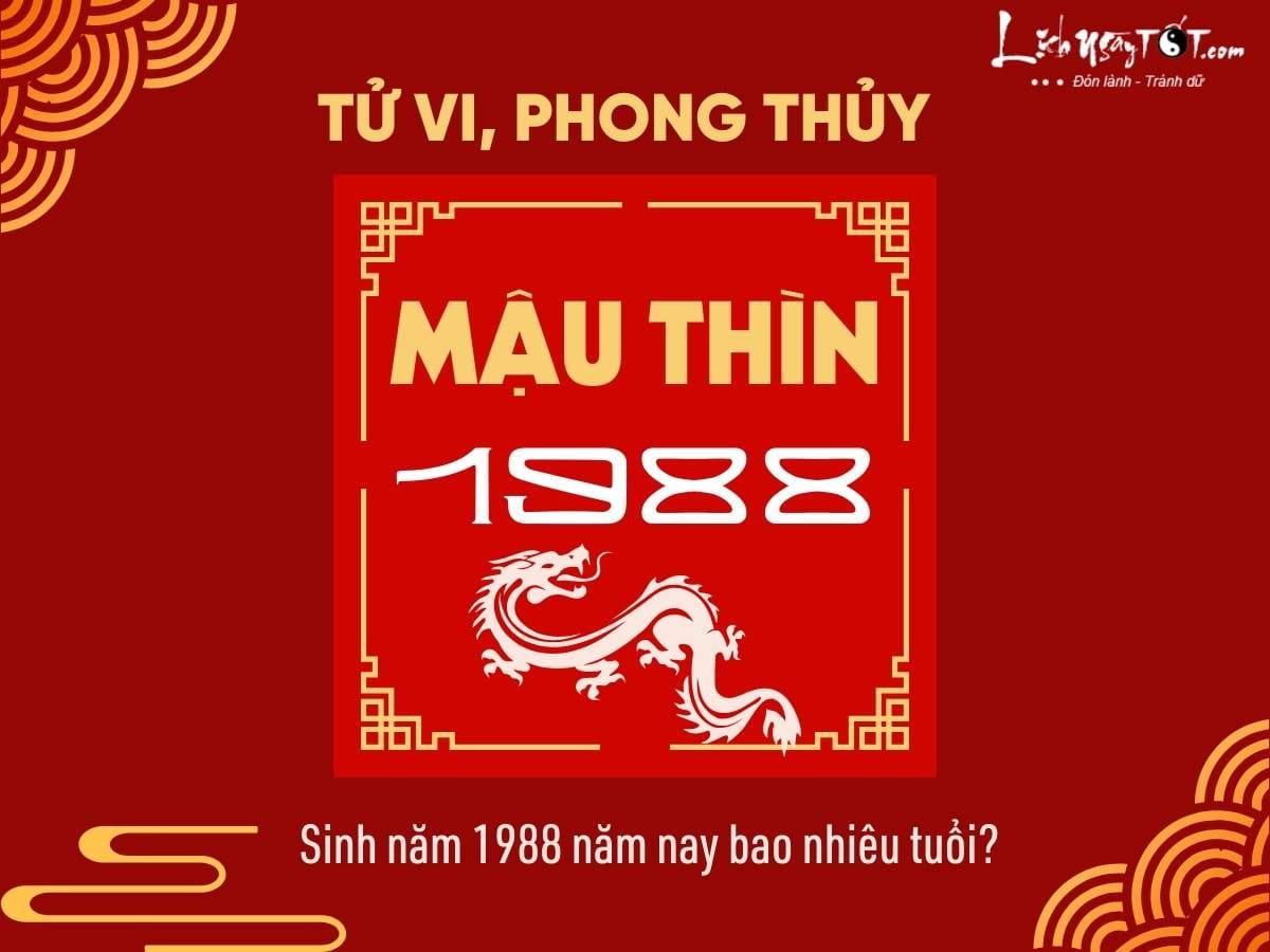 Người sinh năm 1988 bao nhiêu tuổi theo lịch âm và dương?