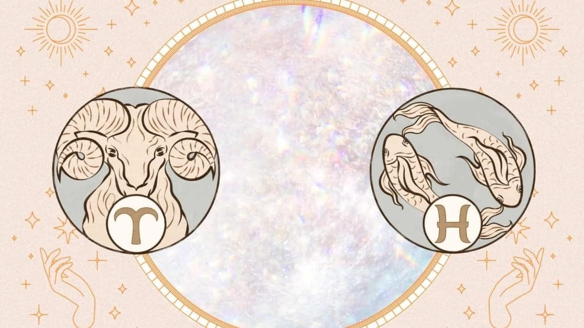 Người sinh ngày 3 tháng 3 là cung gì, mang đặc điểm tính cách chung của tháng 3