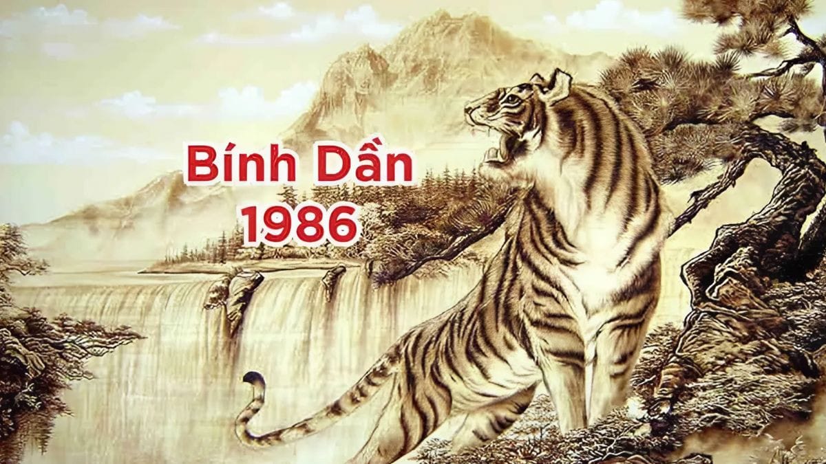 Người tuổi Dần 1986 hợp với các tuổi Đinh Mão, Canh Ngọ trong công việc và hôn nhân