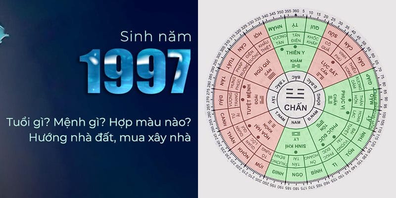 Người tuổi Đinh Trâu sinh năm 1997 mệnh Thủy (Giản hạ Thủy)