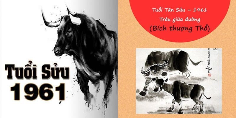 Người tuổi Tân Trâu sinh năm 1961