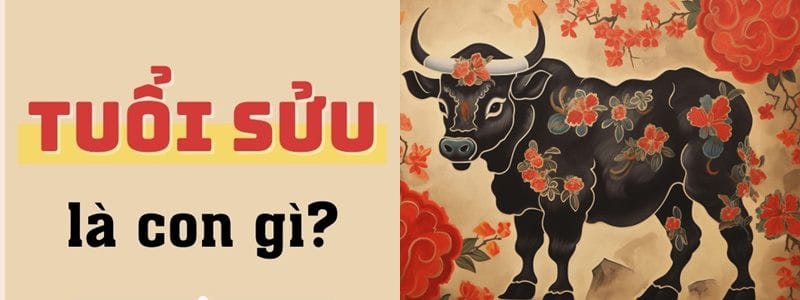 Người tuổi Trâu còn được biết đến là tuổi con trâu
